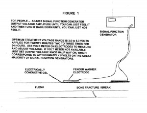 1028fig1