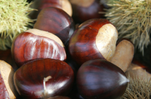 Chestnuts3-300x198