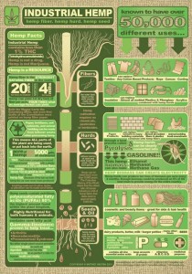 hemp-production1