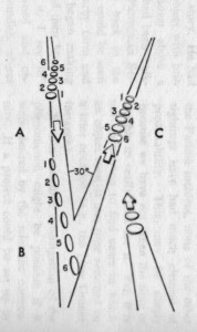 p242chesapeake