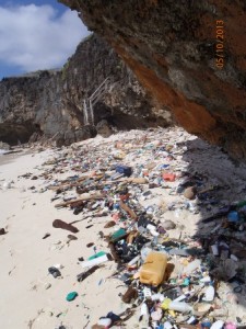 Litter_CSIRO-337x450