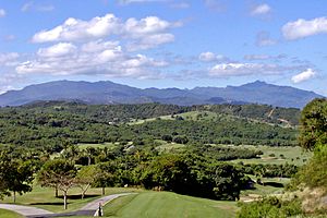 Puerto Rico El Yunque 3